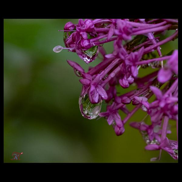 PHOTO84, CLUB, 84 , LUBERON